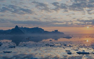 Life, Death & Back Again