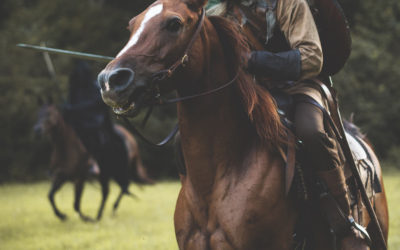 Stop, Enjoy the Wonder